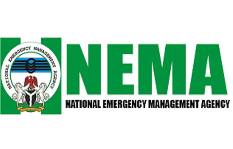 nema 2
